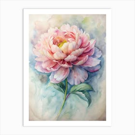 Peony Art Print