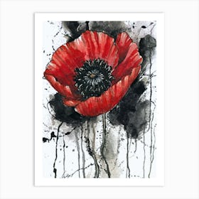 Red Poppy Art Print