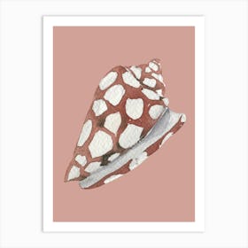 Pink Shell Art Print