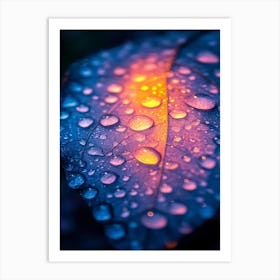 Rain Drops On A Leaf Art Print