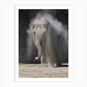 Elephant 1 Art Print