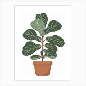 Fig Tree In A Pot Art Print