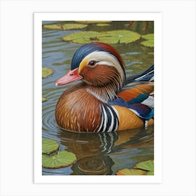 Mandarin Duck In The Lily Pond Art Print