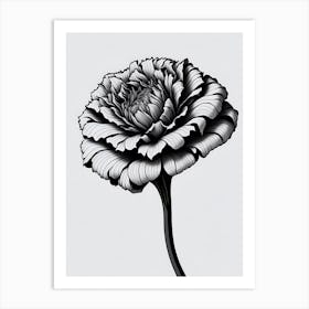 A Carnation In Black White Line Art Vertical Composition 16 Art Print