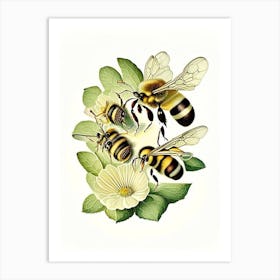 Colony Bees 4 Vintage Art Print