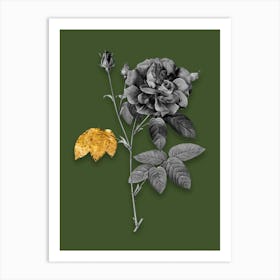 Vintage French Rose Black and White Gold Leaf Floral Art on Olive Green n.0035 Art Print