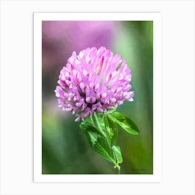 Purple Clover Art Print