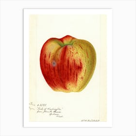 Apple Art Print