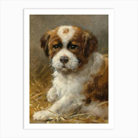 Vintage Brown And White Puppy Art Print