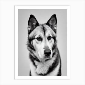 Norwegian Buhund B&W Pencil Dog Art Print