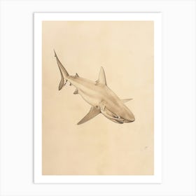 Phoebefy A Pencil Crayon Drawing Of A Shark Centred 1970prese 82322e95 B79c 4eea 8cc5 9250fa76073c 2 Art Print