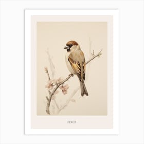 Vintage Bird Drawing Finch 2 Poster Art Print