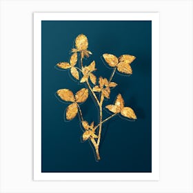 Vintage Pink Clover Botanical in Gold on Teal Blue n.0017 Art Print