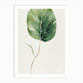 Wild Yam Leaf Minimalist Watercolour 2 Art Print