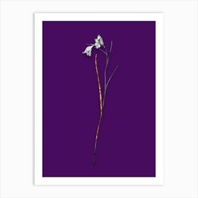 Vintage Blue Pipe Black and White Gold Leaf Floral Art on Deep Violet n.0121 Art Print
