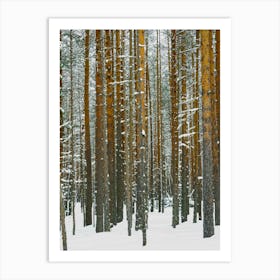 Pine Forest In Winter Snow Nature Art Print