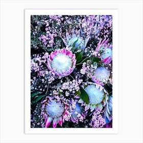 Proteas 1 Art Print