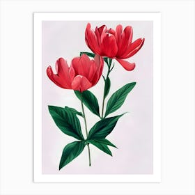 Red Peonies Art Print