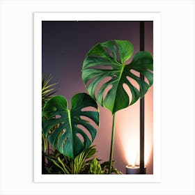 Monstera Plant 4 Art Print