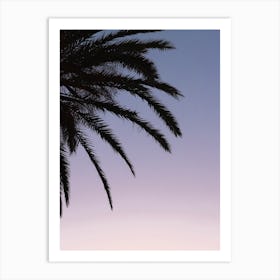 Palm On Pink And Purple Sky Art Print