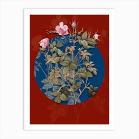 Vintage Botanical Pink Flowering Rosebush on Circle Blue on Red n.0301 Art Print