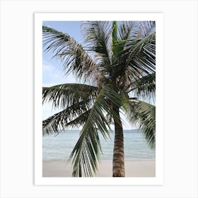 Cambodia Palm Tree Beach Art Print