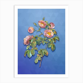 Vintage Tomentose Rose Botanical Art on Blue Perennial n.0090 Art Print