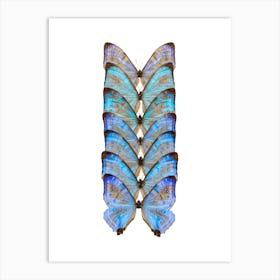 Row Of Bright Blue Butterflies Art Print
