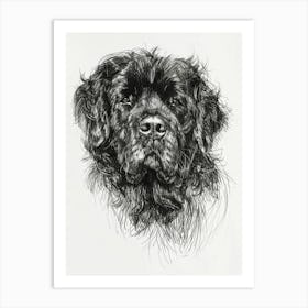 Fluffy Dog Line Sketch Art Print
