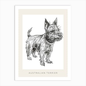 Australian Terrier Line Sketch 4 Poster Art Print