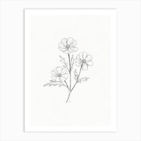 Cosmos Flower Pencil Sketch Art Print