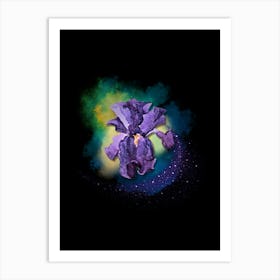 Purple Iris Art Print