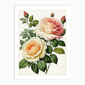 Vintage Galleria Style Rose Art Painting 32 Art Print