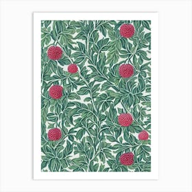 Marionberry Vintage Botanical Fruit Art Print