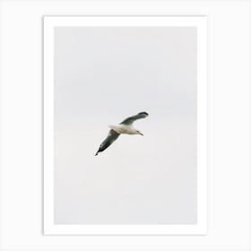 Seagull Flying Over Beach Art Print