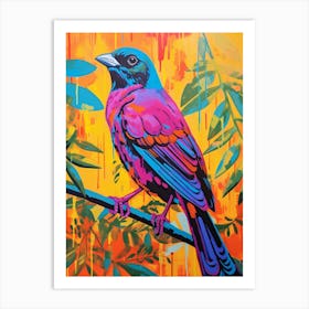 Colourful Bird Painting Cowbird 3 Art Print