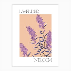 Lavender In Bloom Flowers Bold Illustration 3 Art Print