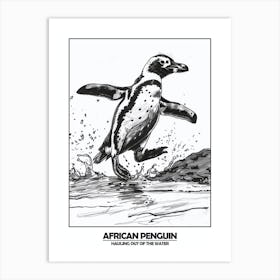 Penguin Hauling Out Of The Water Poster 1 Art Print