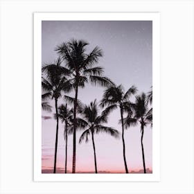 Palm Tree Sunsets Art Print