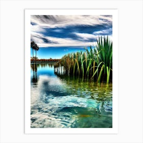 Pond In The Sky Art Print