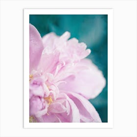 Pink Peony on Blue Art Print