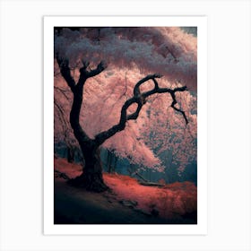 Cherry Blossom Tree 1 Art Print