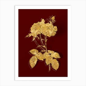 Vintage Damask Rose Botanical in Gold on Red n.0455 Art Print