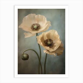 Poppies 23 Art Print