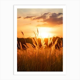 Sunset In The Field 3 Art Print