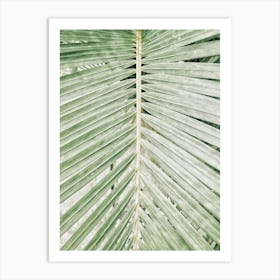 Palm Leaf 7 Art Print