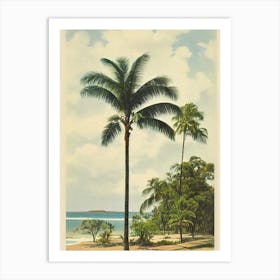 Rosebud Beach Australia Vintage Art Print