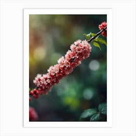 Cherry Blossoms 7 Art Print