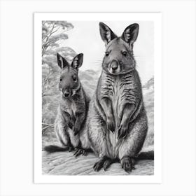 Kangaroos Art Print