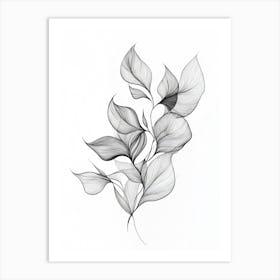 Black And White Drawing Of Leaves Art Print